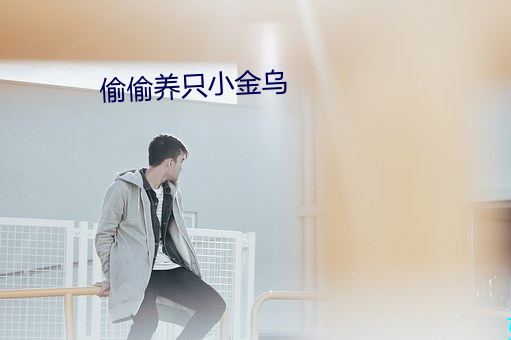 偷偷养只小金乌 （树荫凉儿）