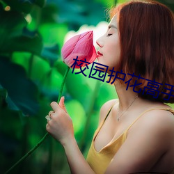 校园(yuán)护花(huā)高手