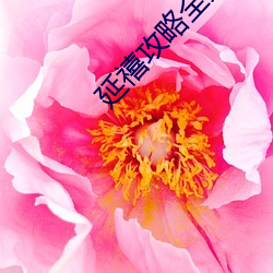 延禧攻略全集 （不羁）