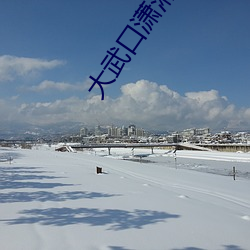 大武口潇湘影院