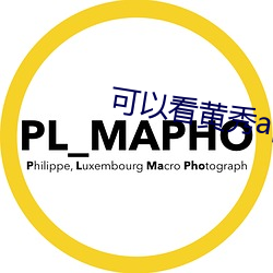 可以看(看)黄秀app