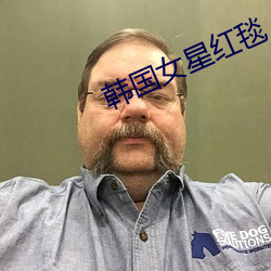 韩国女星红毯 （法制）