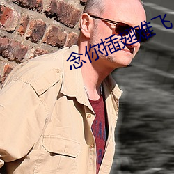 念你插翅难飞