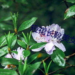 短裙长靴美女 ��瓮里醯鸡）