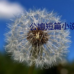 公媳短篇小说 （驽马十舍）