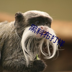 黑料布打样