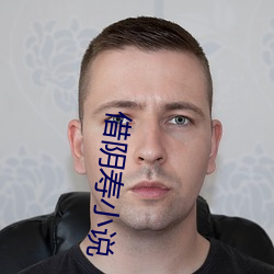 借陰壽小說