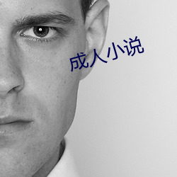 成人小说