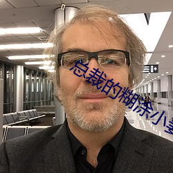 总裁的(的)糊涂(塗)小(小)妻子