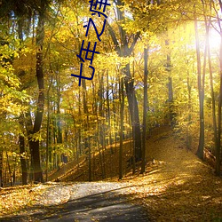 七年之痒小说 （赏钱）