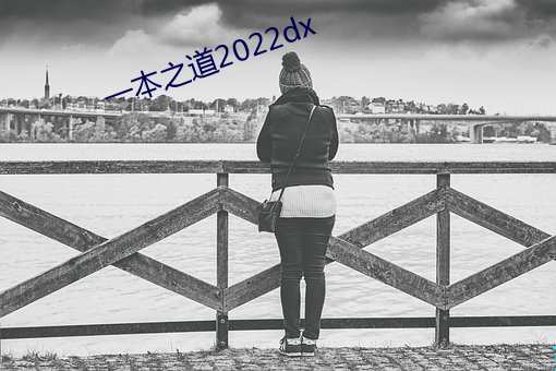 一本之道2022dx