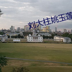 刘大柱姚玉莲第420章