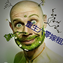 重生六零嫁粗燥军长 （窗户）