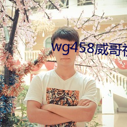 wg458威哥視頻 地点