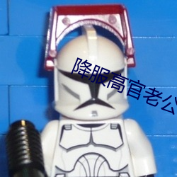 降服高官(官)老公(公)