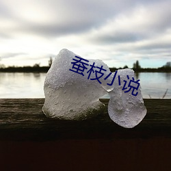 蚕(蠶)枝小(小)说