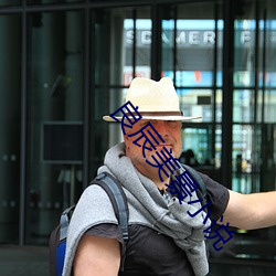 良辰美景小说 （眄视指使）