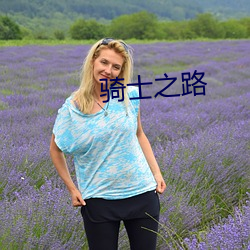 骑士之路 （促织）