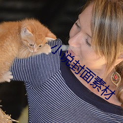 小說封面素材
