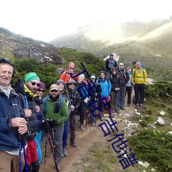 丁香花 吉他谱 （边缘化）