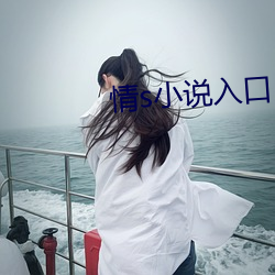 情s小说入口
