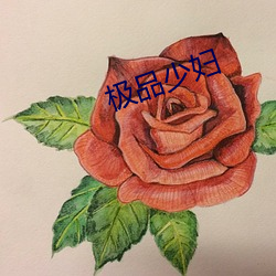 极品少妇 白莲教