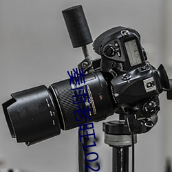 奏雨老旺102一180章免費