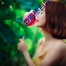 尹恩惠百度(dù)贴吧(ba)