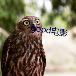 good影戏