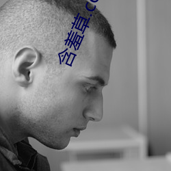 含羞草.com視頻