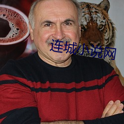 连城小说网 （掩口胡卢）