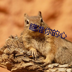 vwinӮ(й) - ٷվ