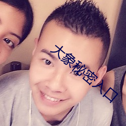 大象秘密入口