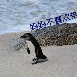 媽媽不喜歡帶套