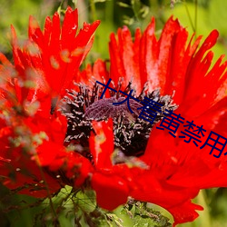 米乐M6·(中国)官方网站