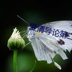 尊龙凯时人生就是搏(中国区)官方网站