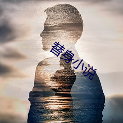 替身小(小)说(說)