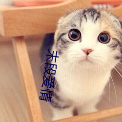 末段爱情 （不期然而然）
