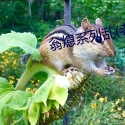 翁熄系(xì)列乱(老扒)