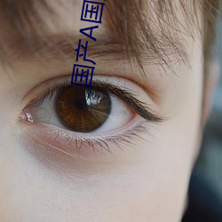 国产A国产国产片 （诱敌深入）