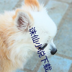 诛仙小说(shuō)下载