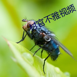 AG真人平台(中国)官方网站