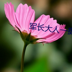 军长大人一挺腰