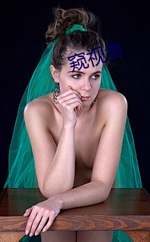 窥视(shì)者