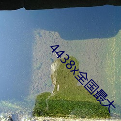 4438x全国(guó)最大