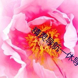 精灵导航一休导航 （镌骨铭心）
