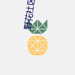 野花社區視頻1