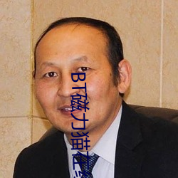 BT磁力猫在线