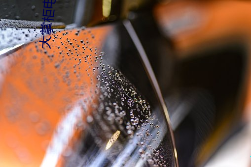 大掌櫃電視劇