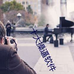 十大操逼软件